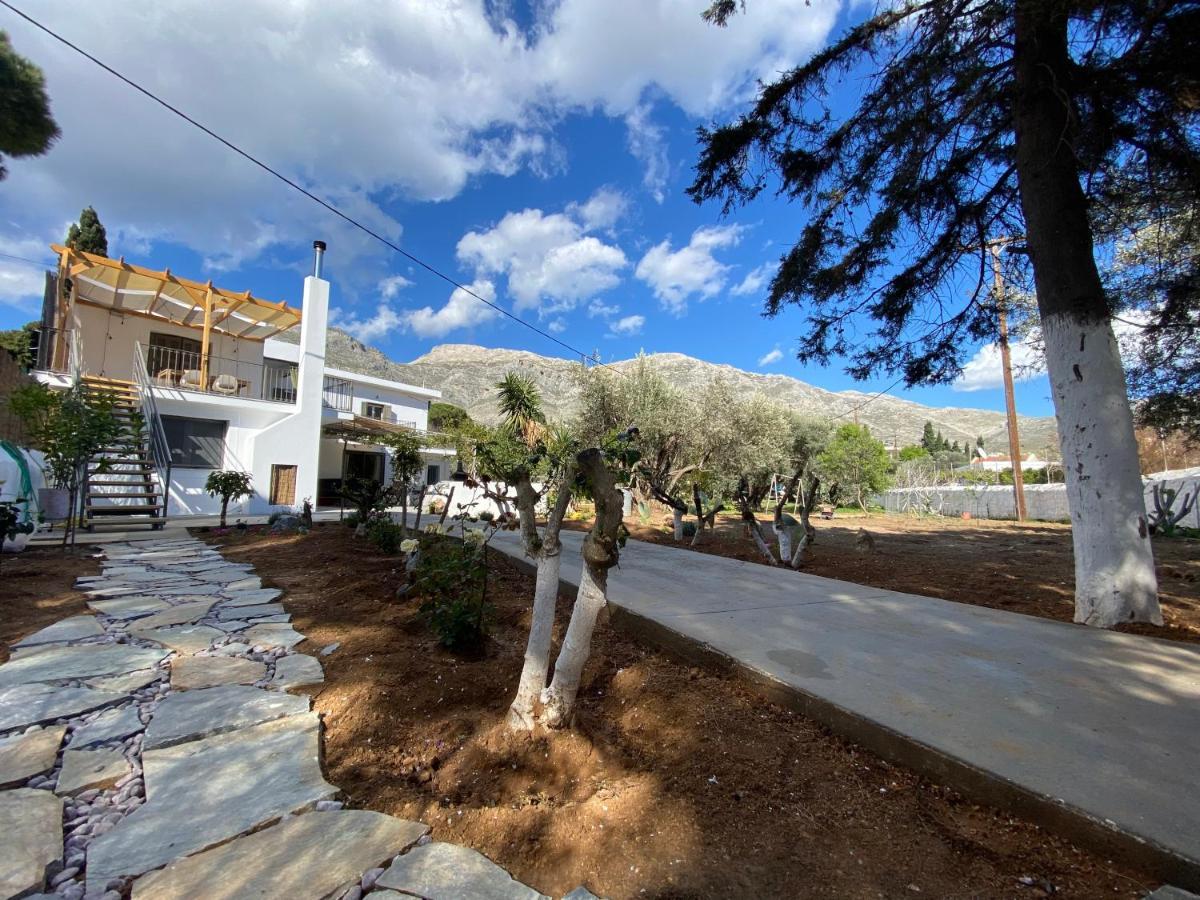 Maria'S Cottage House Panormos  Dış mekan fotoğraf